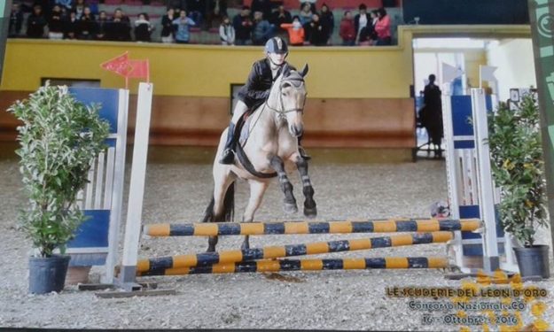 14695341_939160452895715_832370054125959023_n.jpgoh695b8a1097ef8c31974305a5a57cda2boe594DEE1E